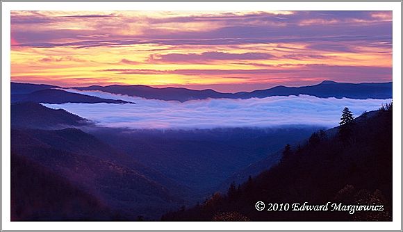 450682   Just before sunrise on Newfound Gap Road,GSMNP